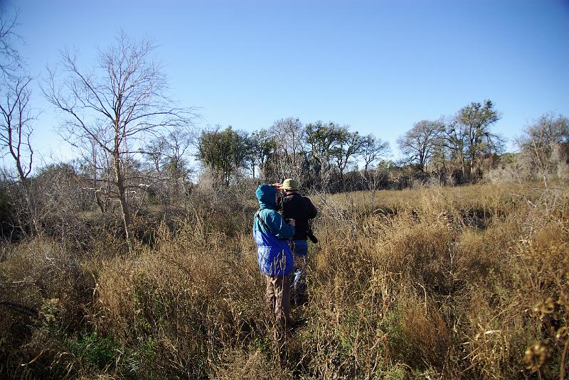 Nov 08 079.jpg